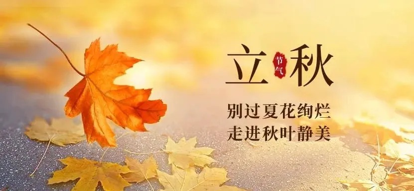 微信圖片_2025-08-12_155621_377